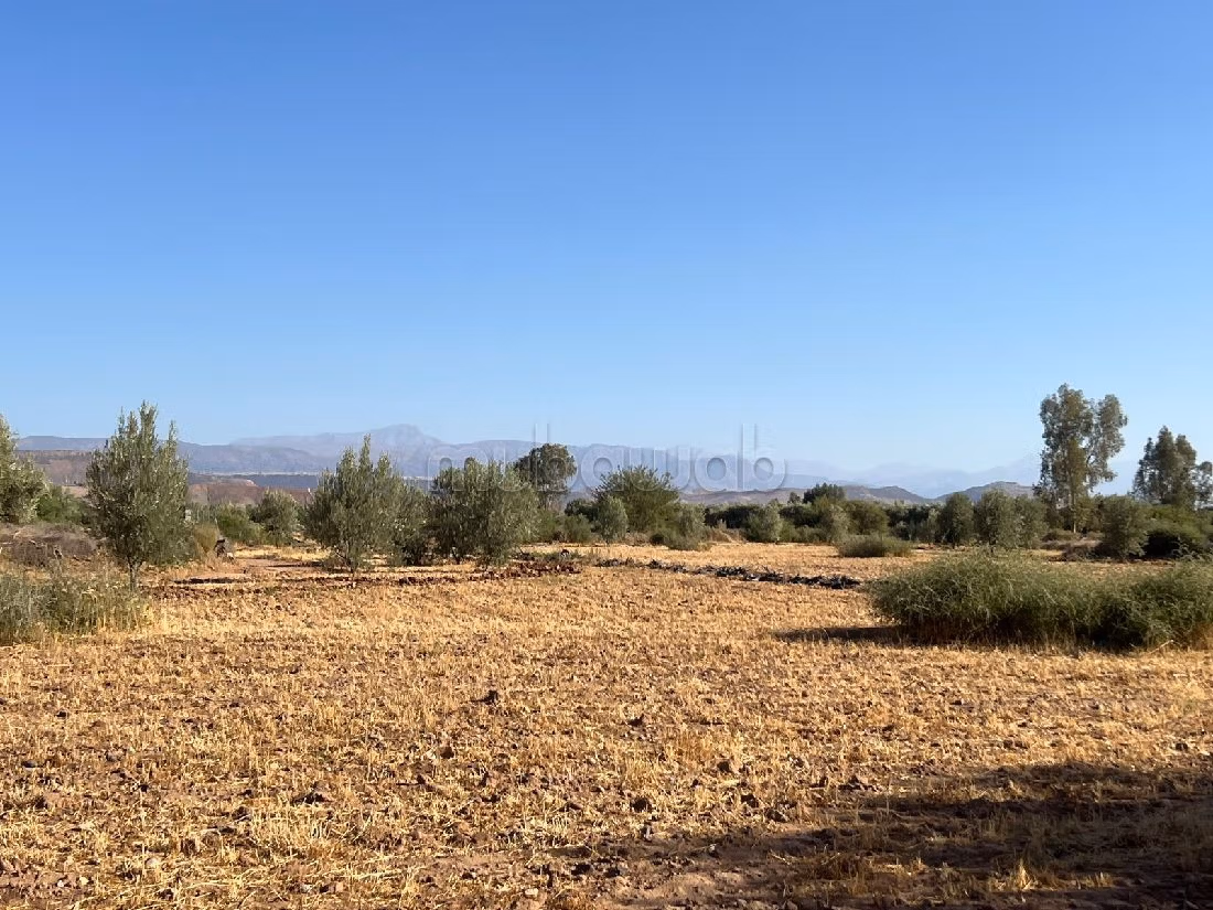 أرض جميلة للبيع بسيدي رحال. المساحة الكلية 22030 م². 