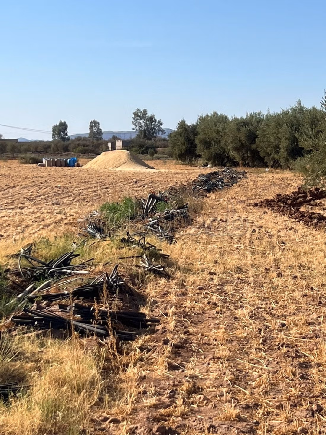 أرض جميلة للبيع بسيدي رحال. المساحة الكلية 22030 م². 