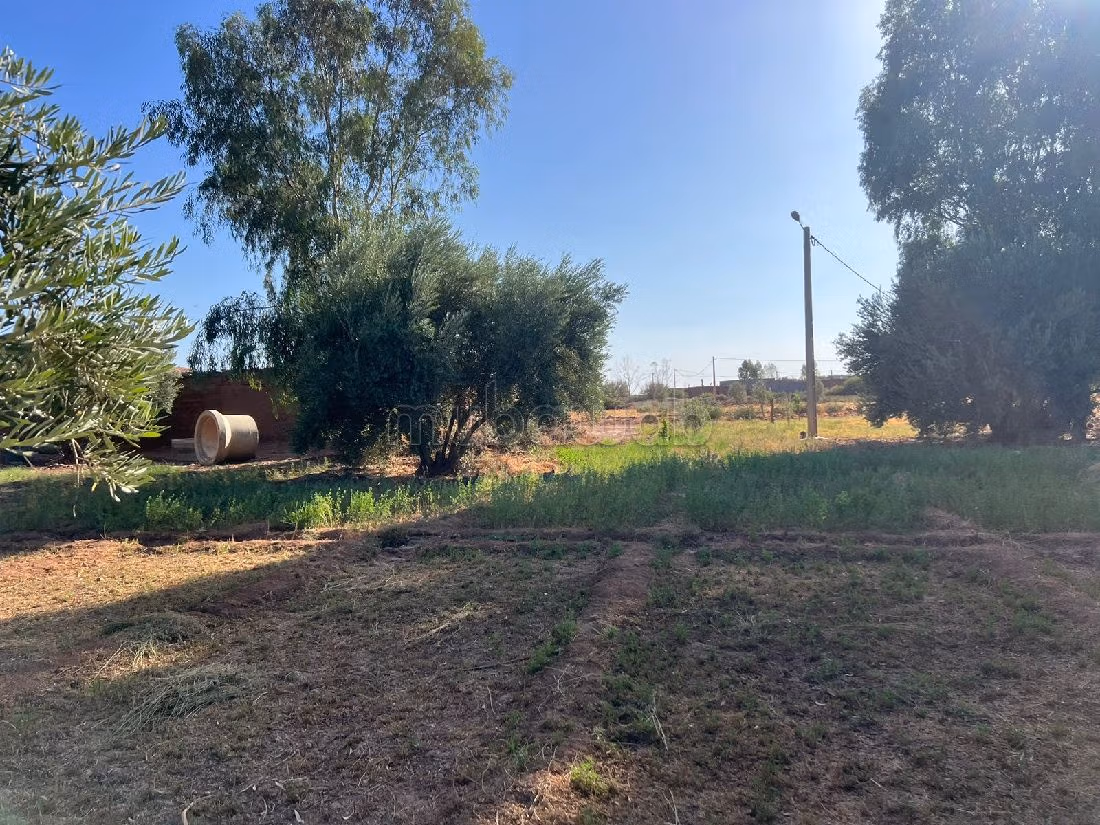 أرض جميلة للبيع بسيدي رحال. المساحة الكلية 22030 م². 