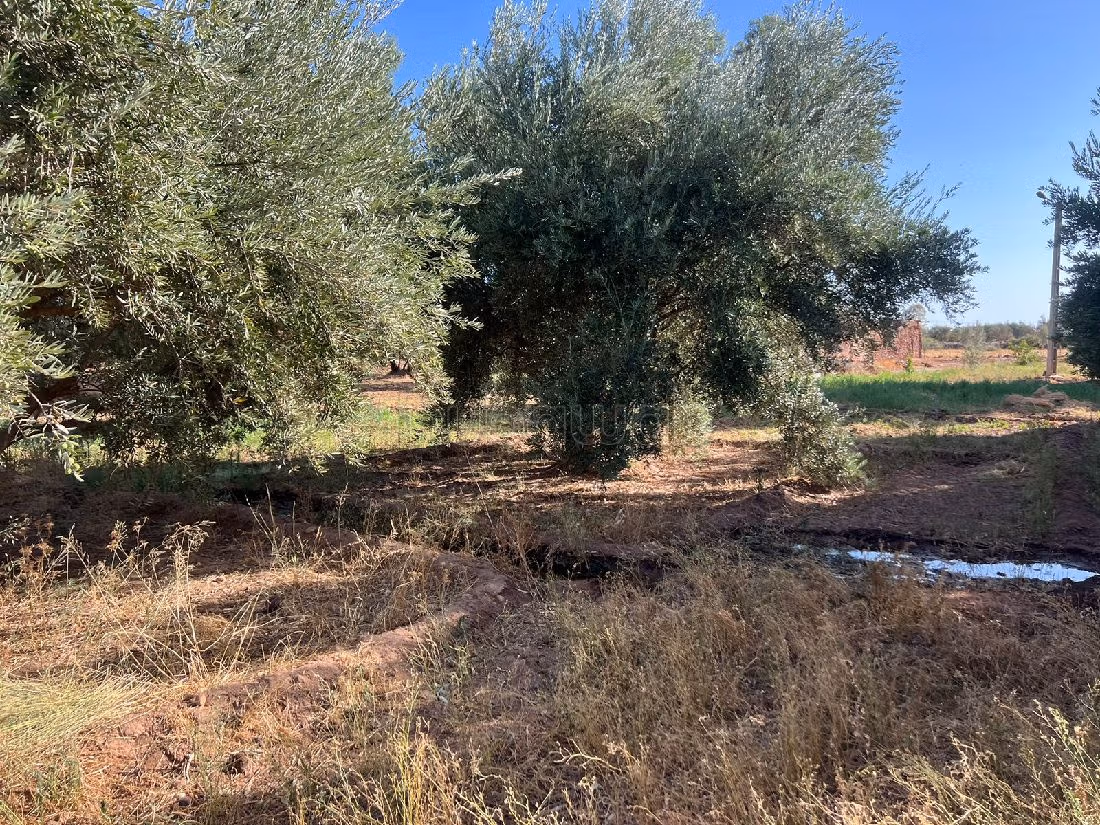 أرض جميلة للبيع بسيدي رحال. المساحة الكلية 22030 م². 