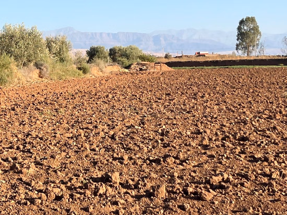 Land for sale. Surface area 5000 m². 