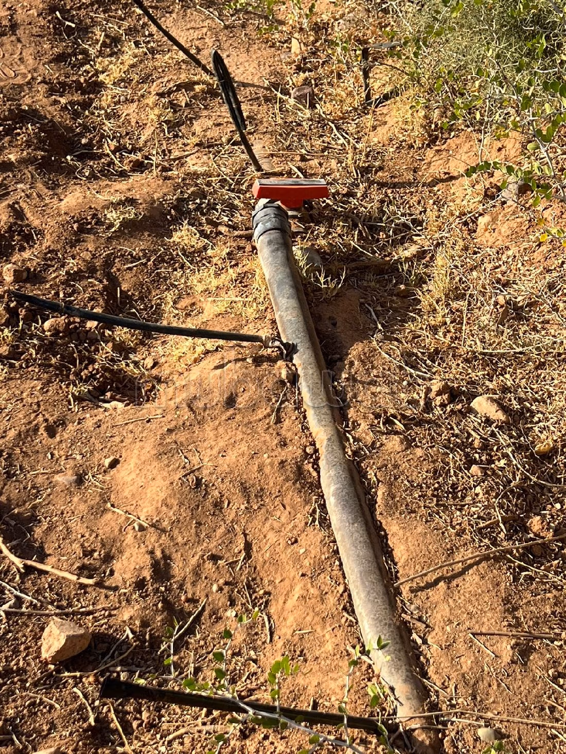 Land for sale. Surface area 5000 m². 