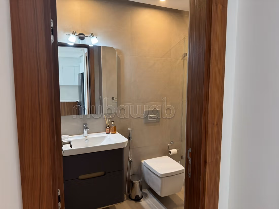 Splendido appartamento nuovo in affitto