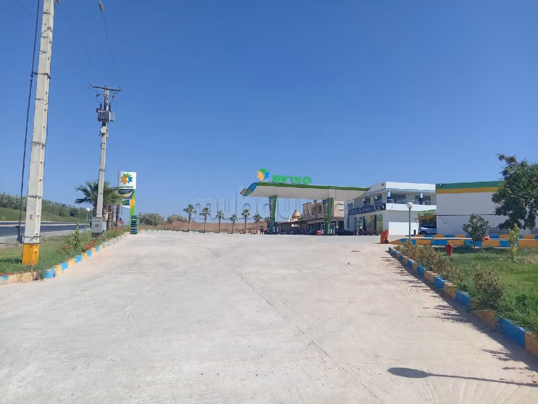 Land for sale. Area of 10000 m². 