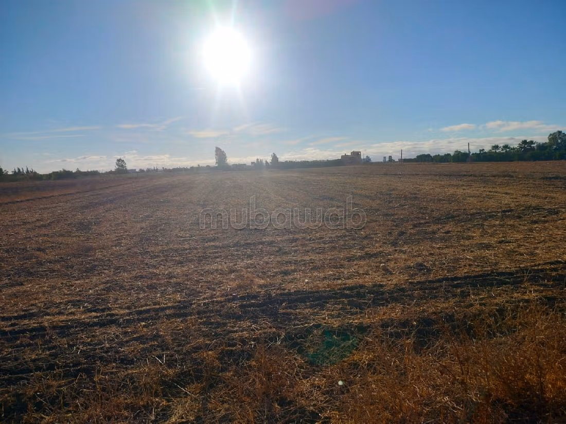 Land beschikbaar in Entrée Sud. Oppervlakte 10000 m². 