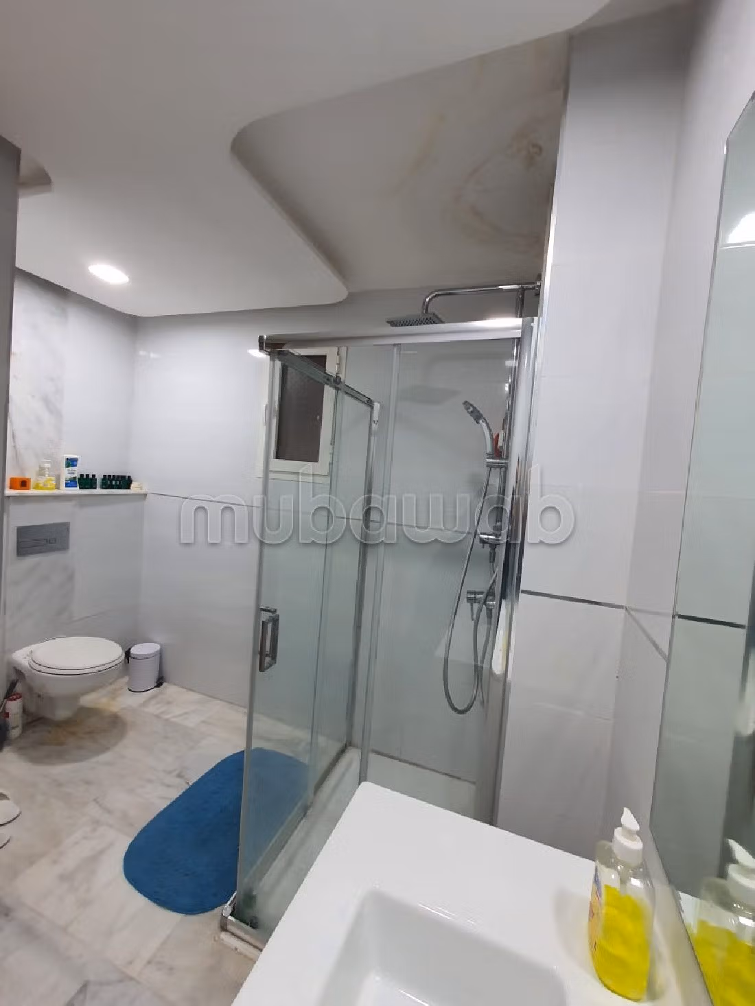 Appartement En location avec terrasse