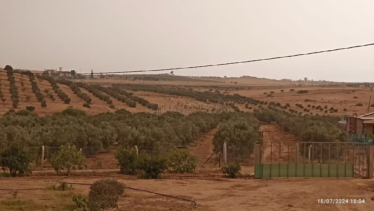 Farm for sale. Small area 42500 m²