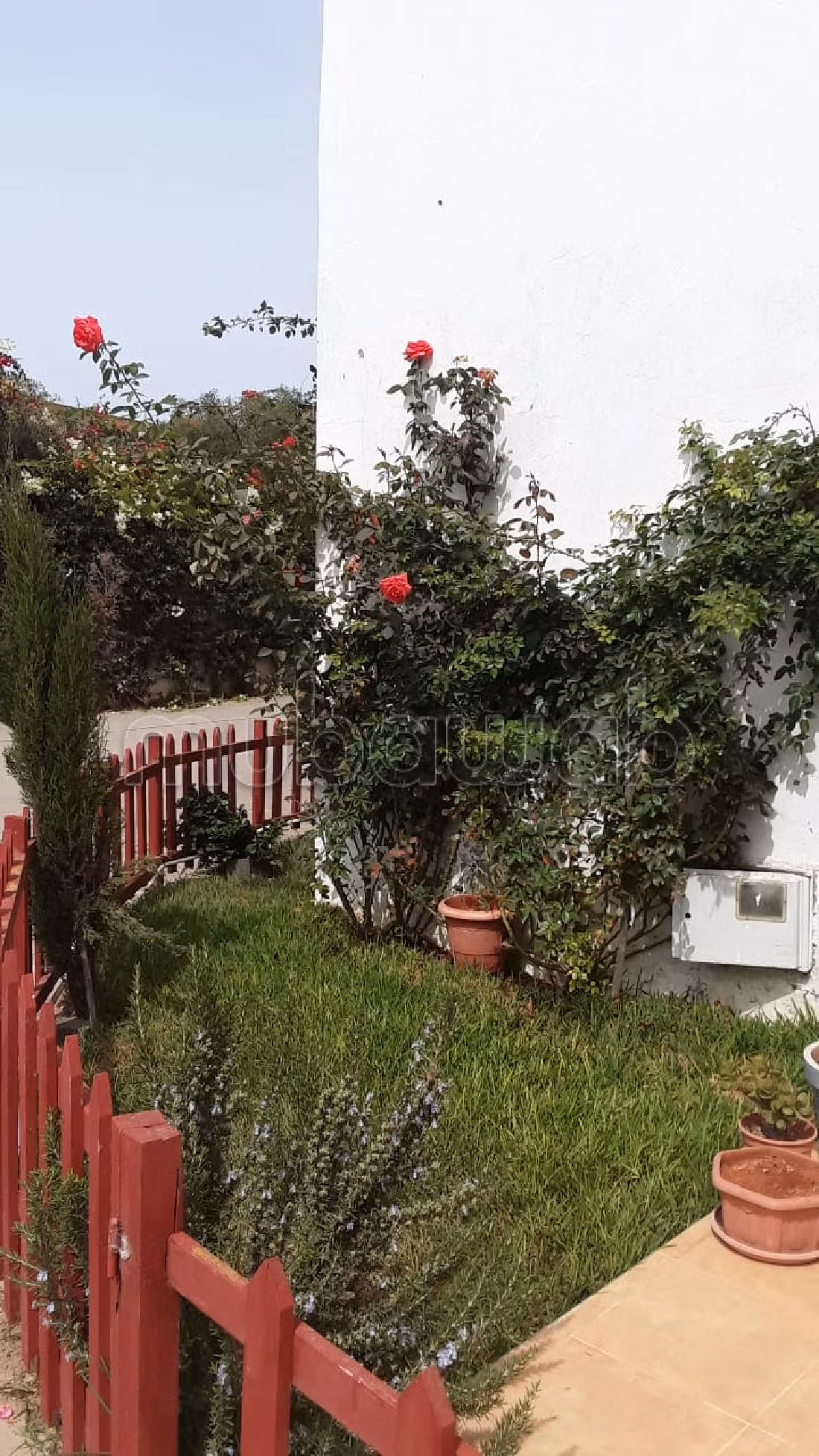 Meravigliosa villa in affitto. Superficie totale 199 m². Ammobiliato