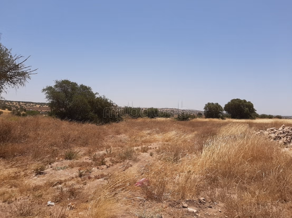 Kopen: land in Route de Marrakech. Oppervlakte 5400 m²