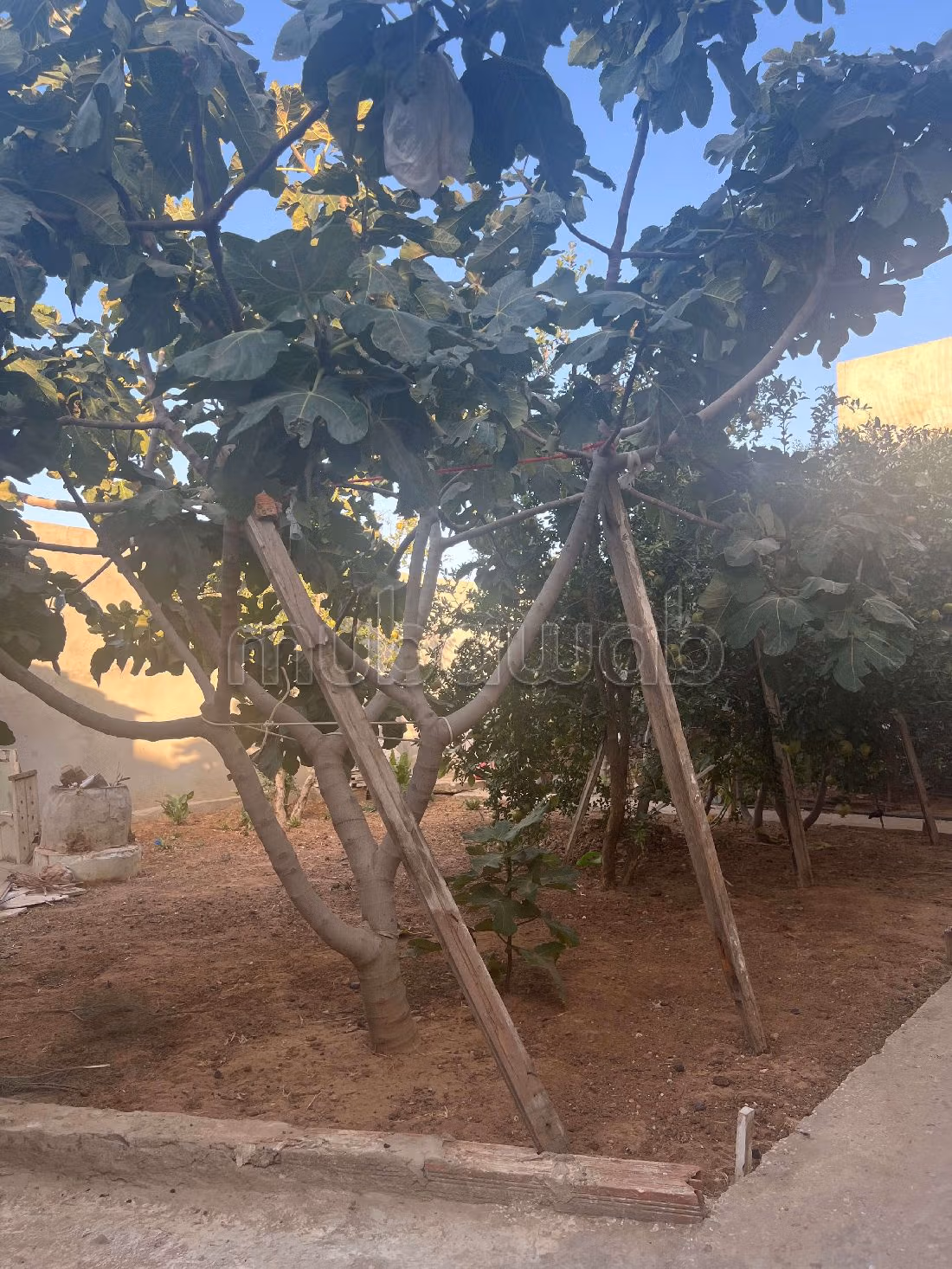 Residenza di lusso in vendita a Raoued. Superficie di 500 m². Giardino, terrazzo. 