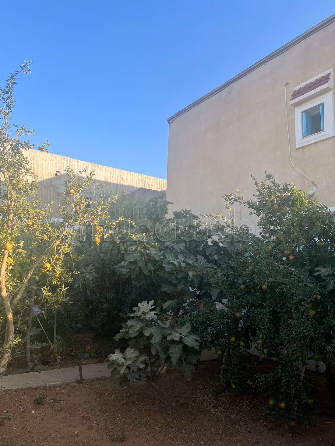 Residenza di lusso in vendita a Raoued. Superficie di 500 m². Giardino, terrazzo. 