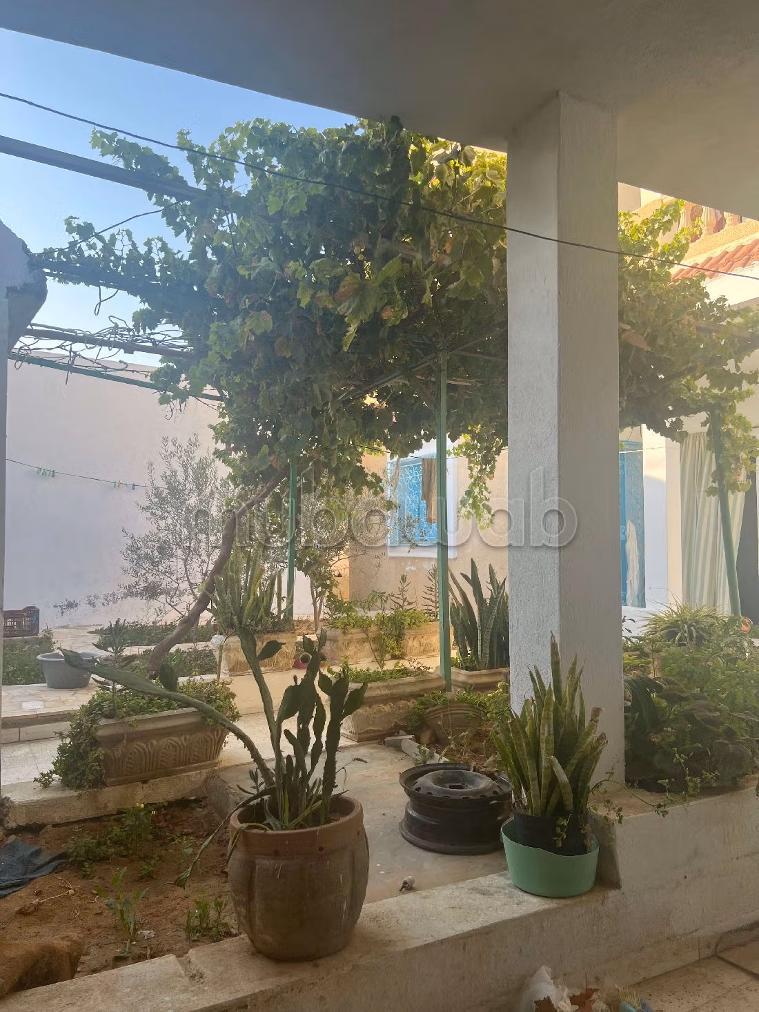 Residenza di lusso in vendita a Raoued. Superficie di 500 m². Giardino, terrazzo. 