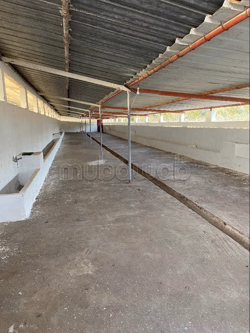 Fattoria in vendita a Sala el Jadida. Superficie totale 30700 m²