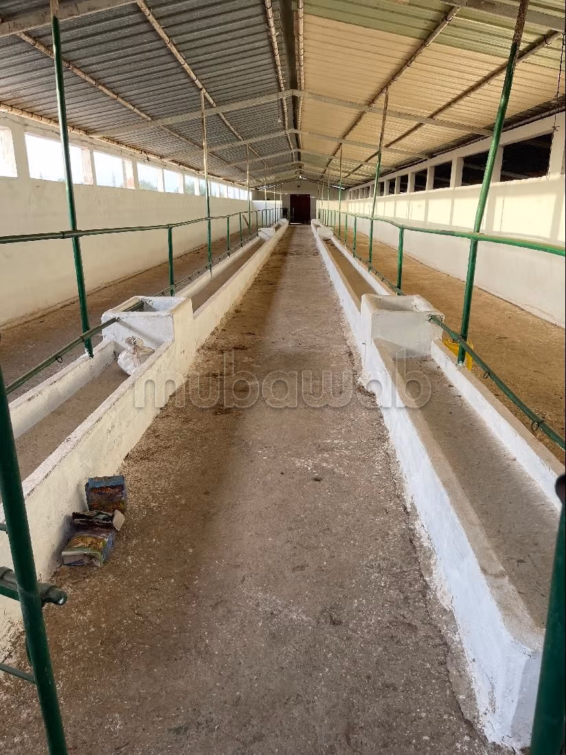 Fattoria in vendita a Sala el Jadida. Superficie totale 30700 m²