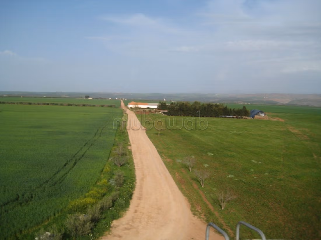 Find your farm to buy. Area 700000 m². Private car park