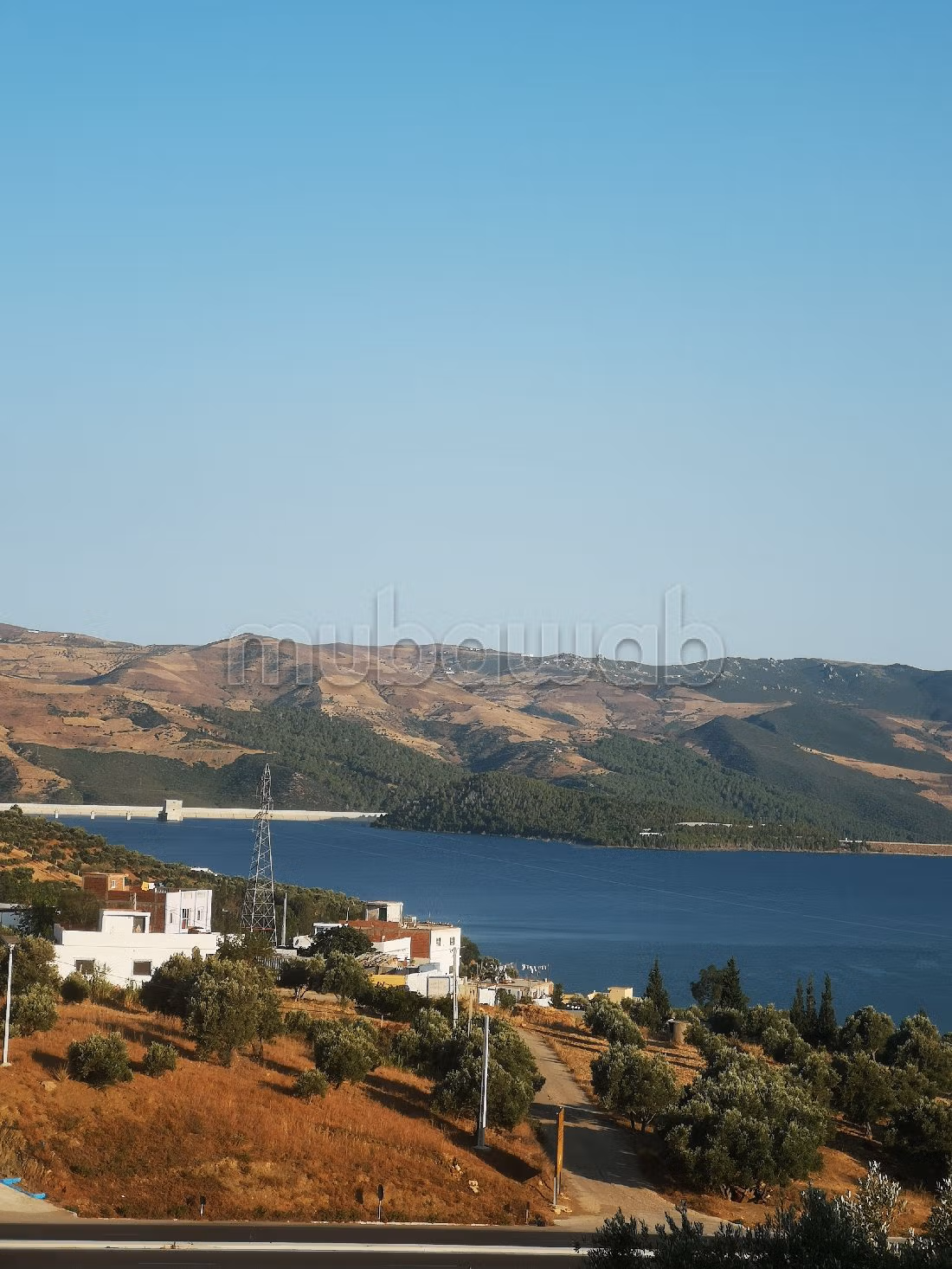 Te koop: boerderijen. Totale oppervlakte 9500 m². Beveiligingssysteem.