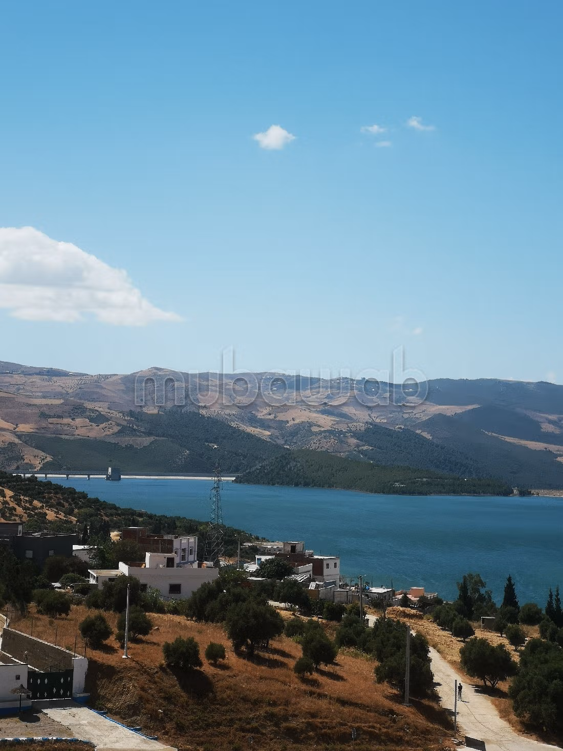 Te koop: boerderijen. Totale oppervlakte 9500 m². Beveiligingssysteem.