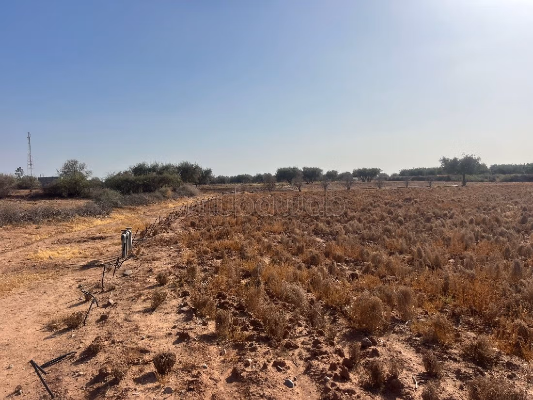 Land for sale. Total area 12400 m². 