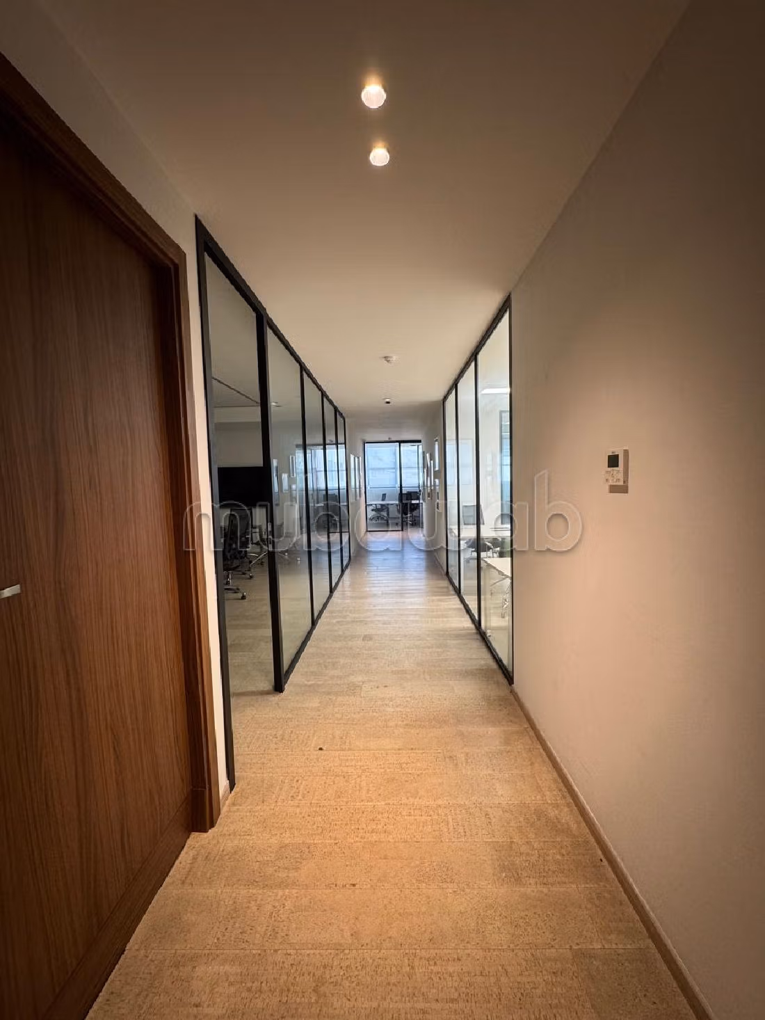 Offices for rent in Les Hôpitaux. Total area 320 m². Double glazed windows and central heating. 