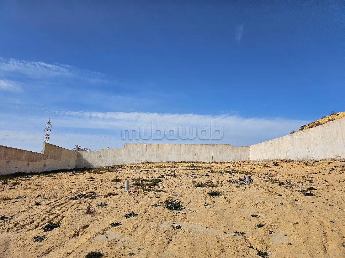 Terrain à acheter à Hammamet. Surface de 3600 m². 