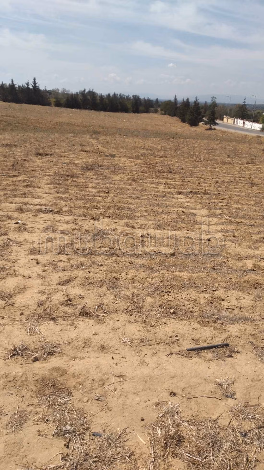 Bel terreno in vendita. Superficie di 15000 m². 