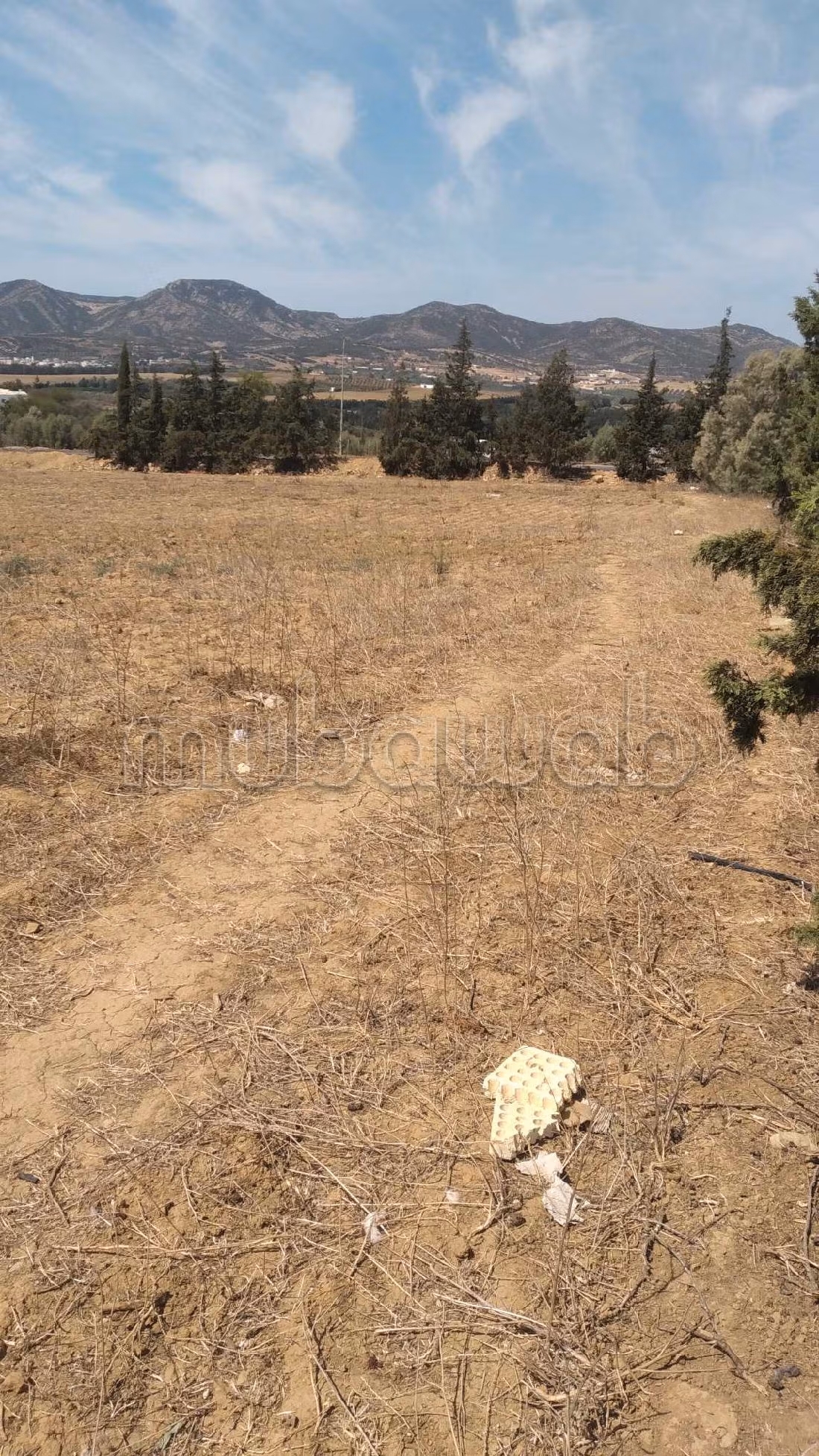 Bel terreno in vendita. Superficie di 15000 m². 