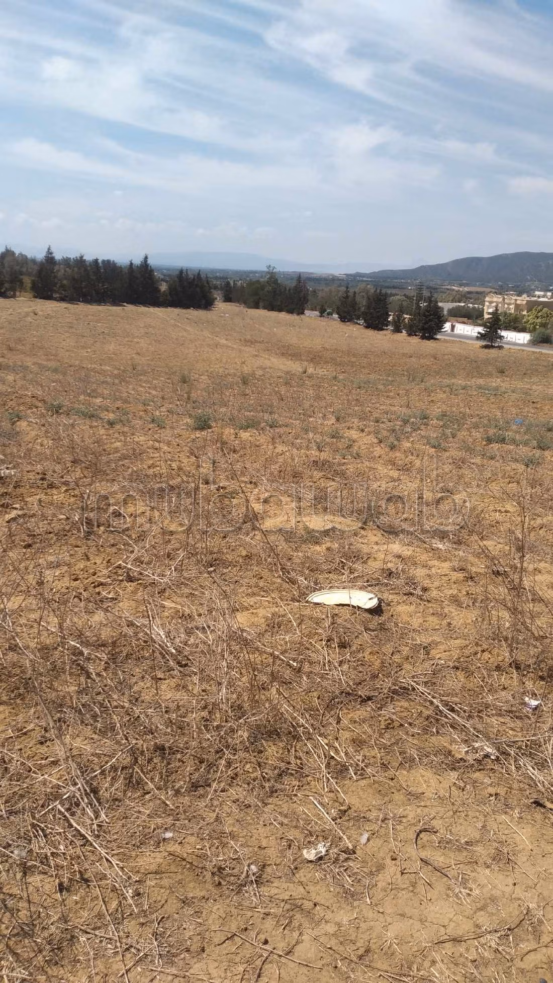 Bel terreno in vendita. Superficie di 15000 m². 