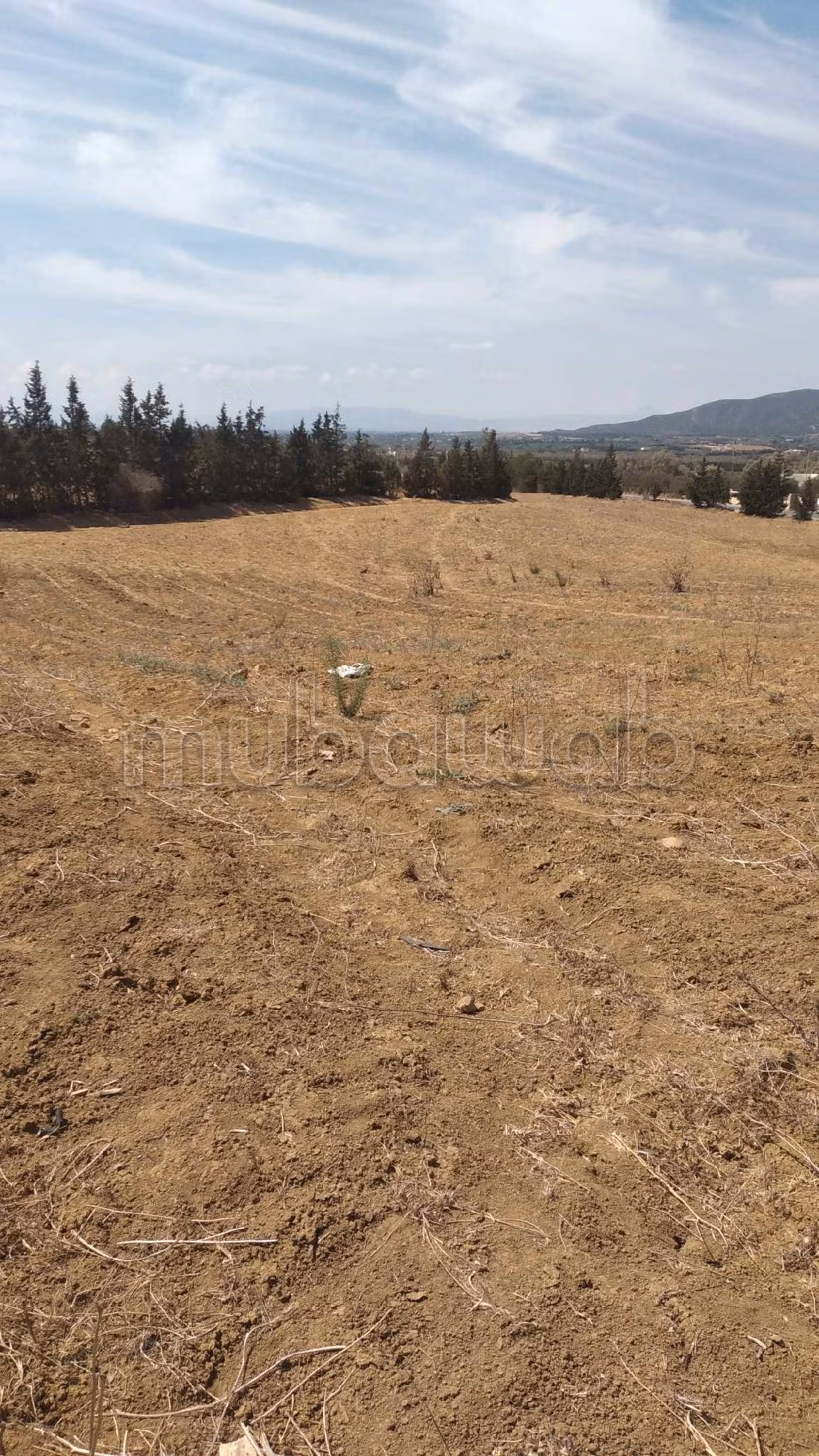 Bel terreno in vendita. Superficie di 15000 m². 
