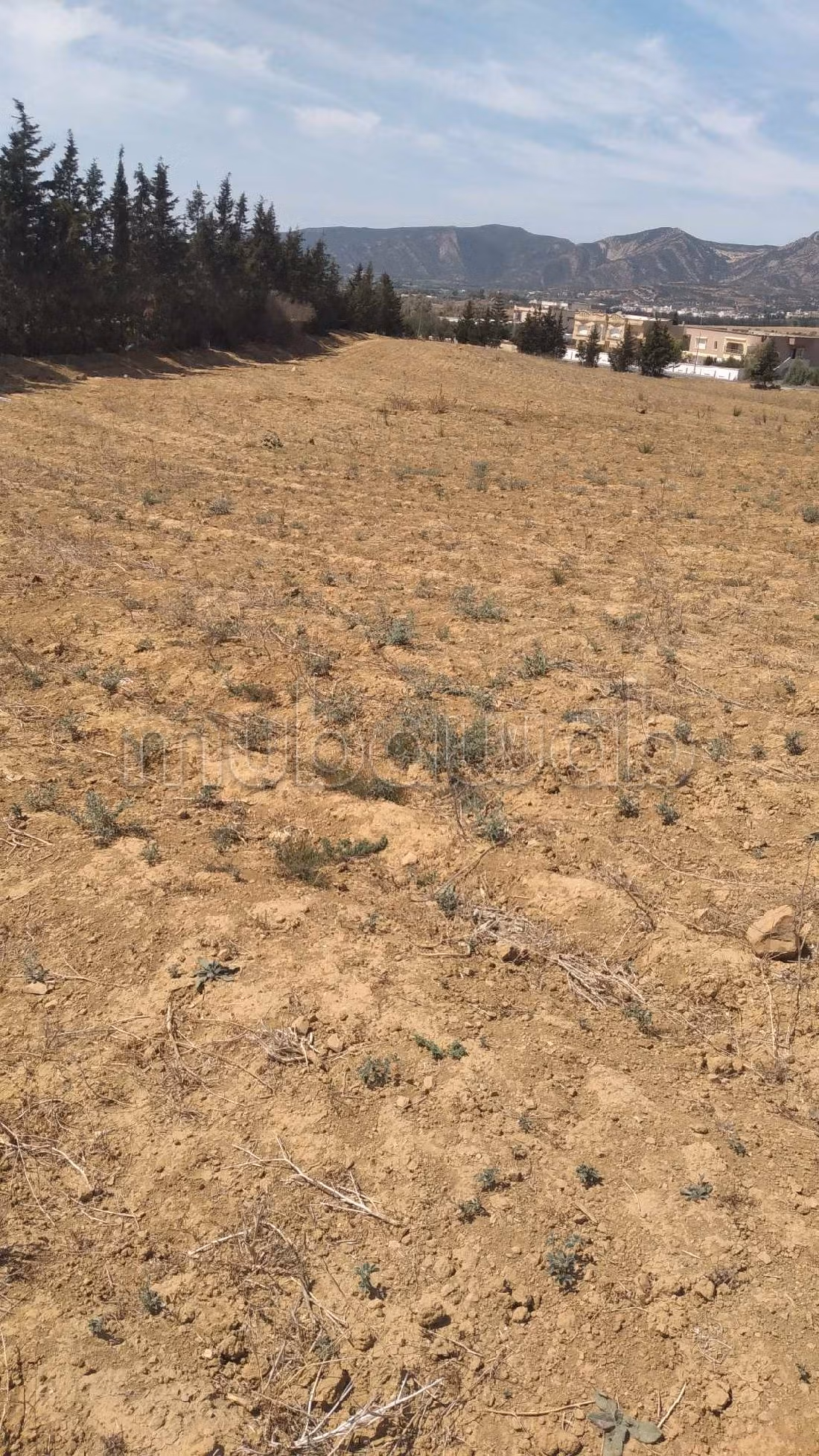 Bel terreno in vendita. Superficie di 15000 m². 