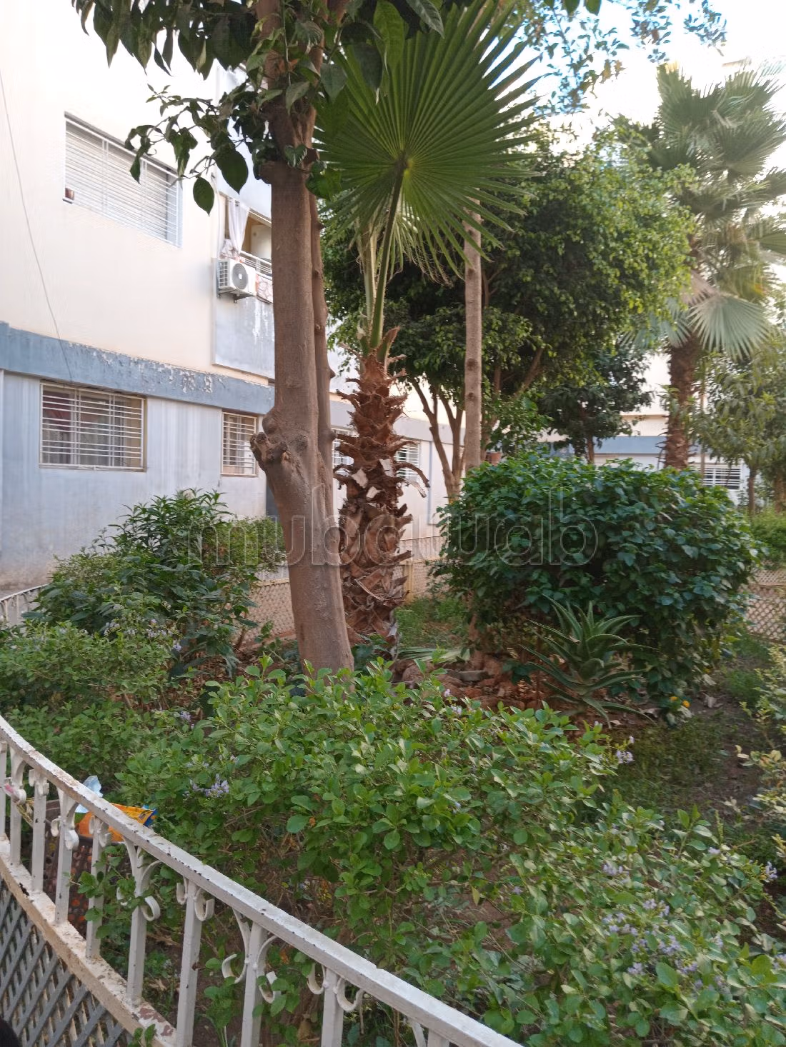 Appartement à louer à Mont Fleuri. 2 pièces confortables. Bien meublé