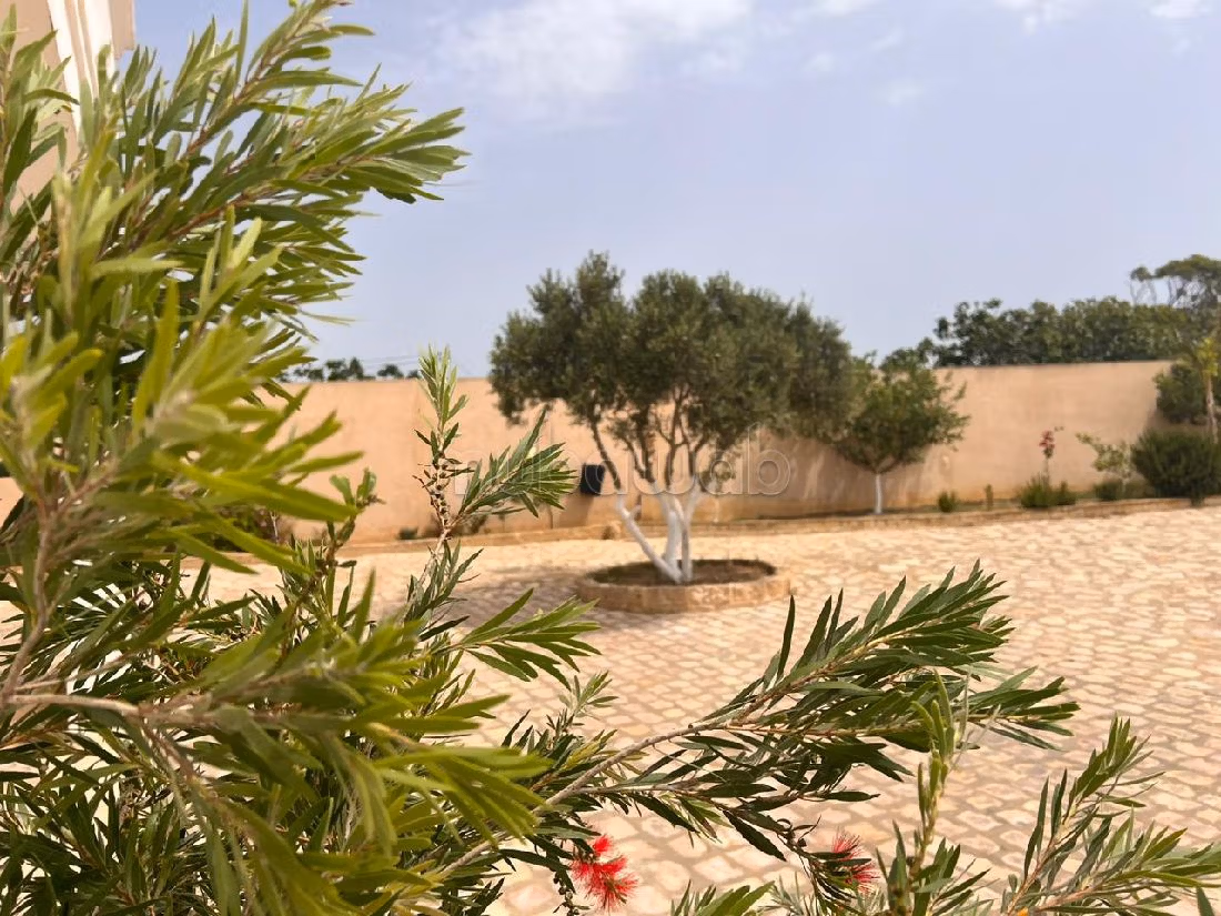 Villa à Vendre à Tamezrat Kélibia sur la colline