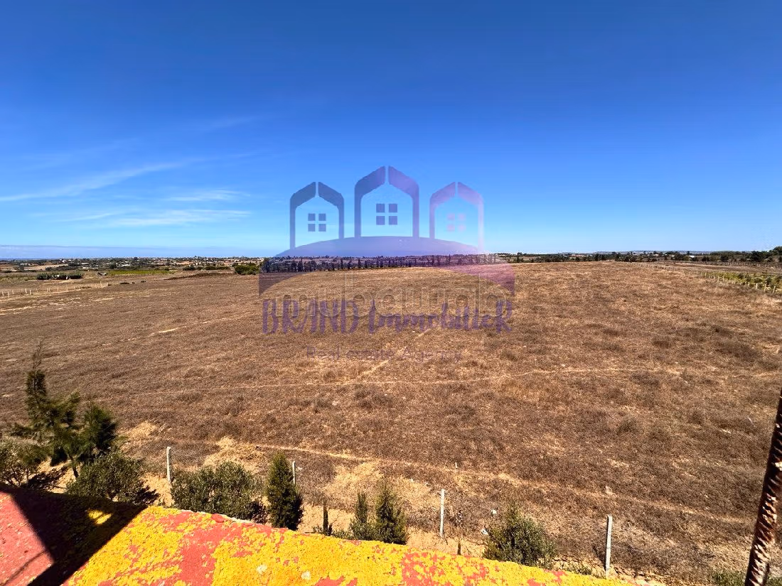 Encuentra la granja de tus sueños en Route Nationale Assilah (N1). Superficie de 55000 m². 