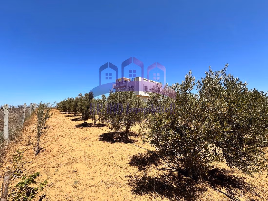 Encuentra la granja de tus sueños en Route Nationale Assilah (N1). Superficie de 55000 m². 