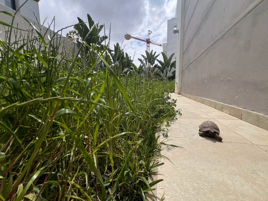 Appartement S3 avec jardin à Chotrana 1