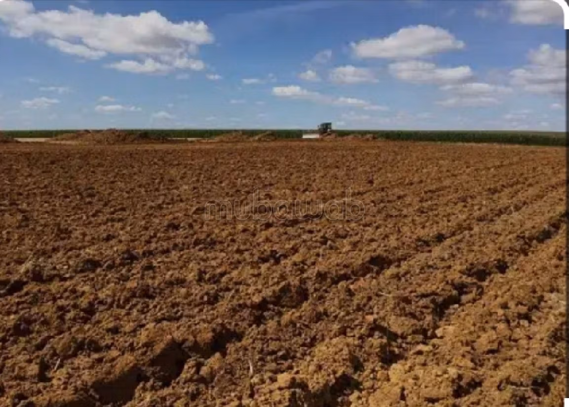 Bel terreno in vendita. Superficie totale 1000 m². 