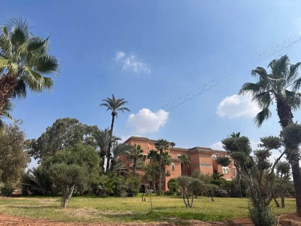 A beautiful garden apartment in the heart of the palm grove