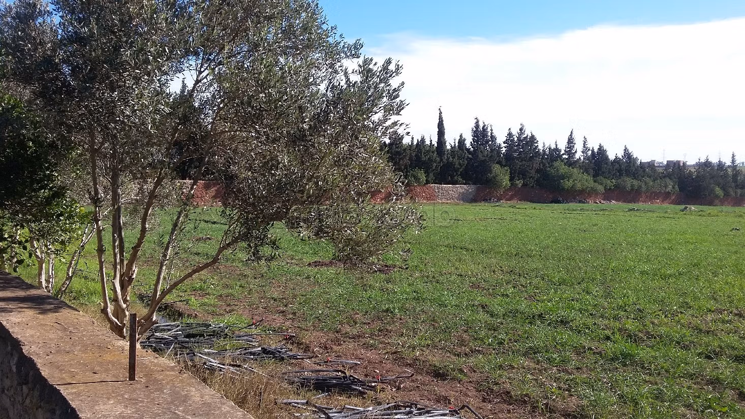 Agradable granja en venta. Area 20500 m²
