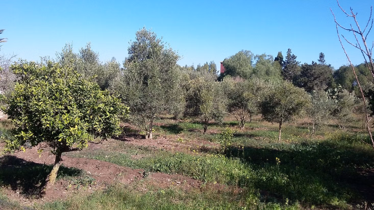 Agradable granja en venta. Area 20500 m²