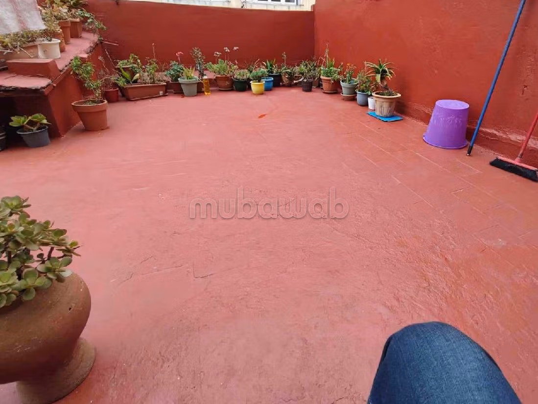 Grand appartement à belvédère