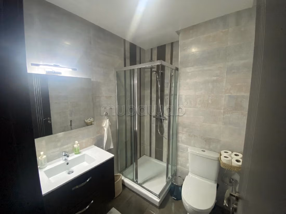 Apartment for rent in Quartier du Parc. 2 beautiful rooms. Ample storage space