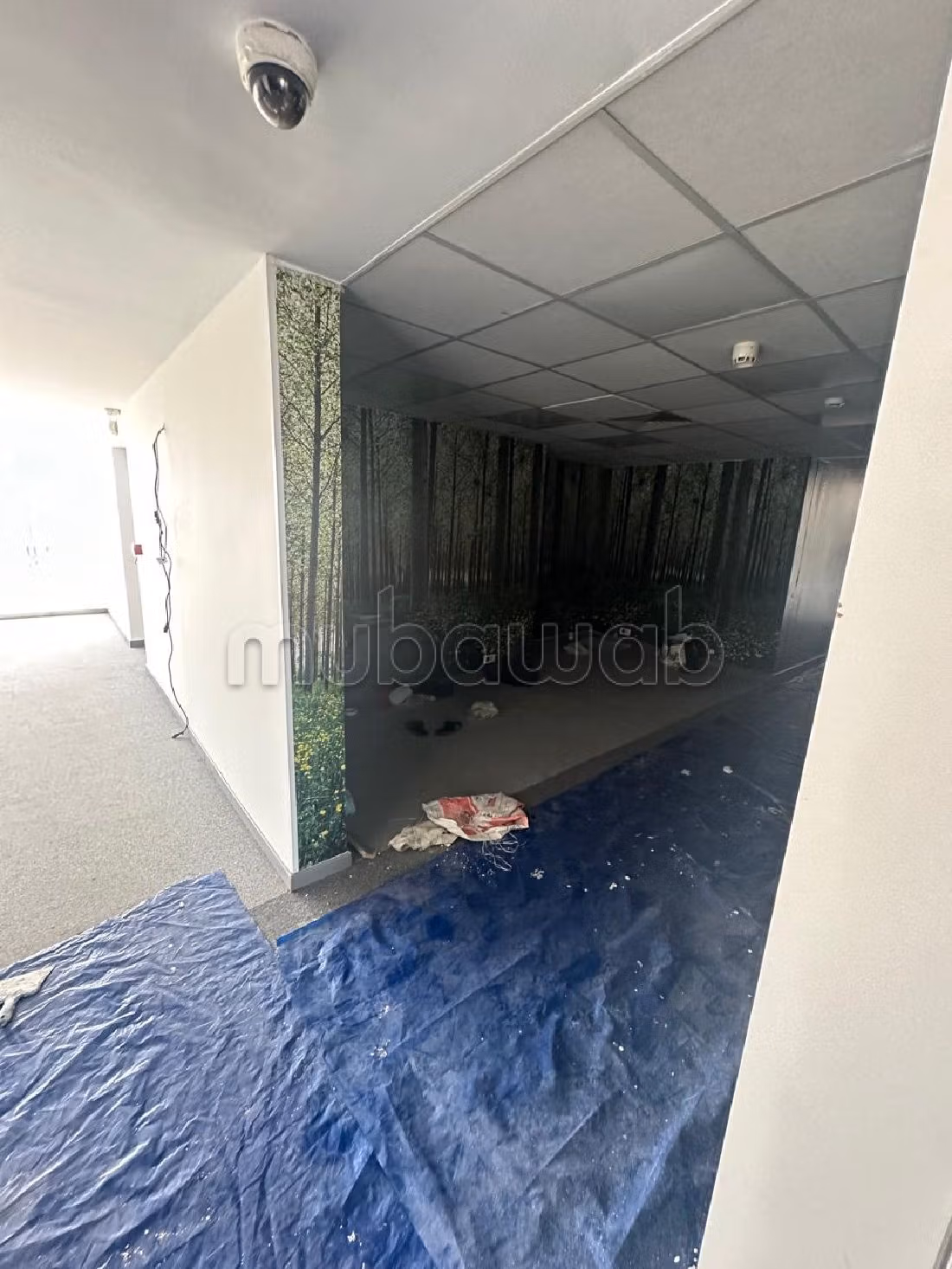 Offices for rent in Sidi Maârouf. Small area 900 m². Double glazed window, Central air conditioning