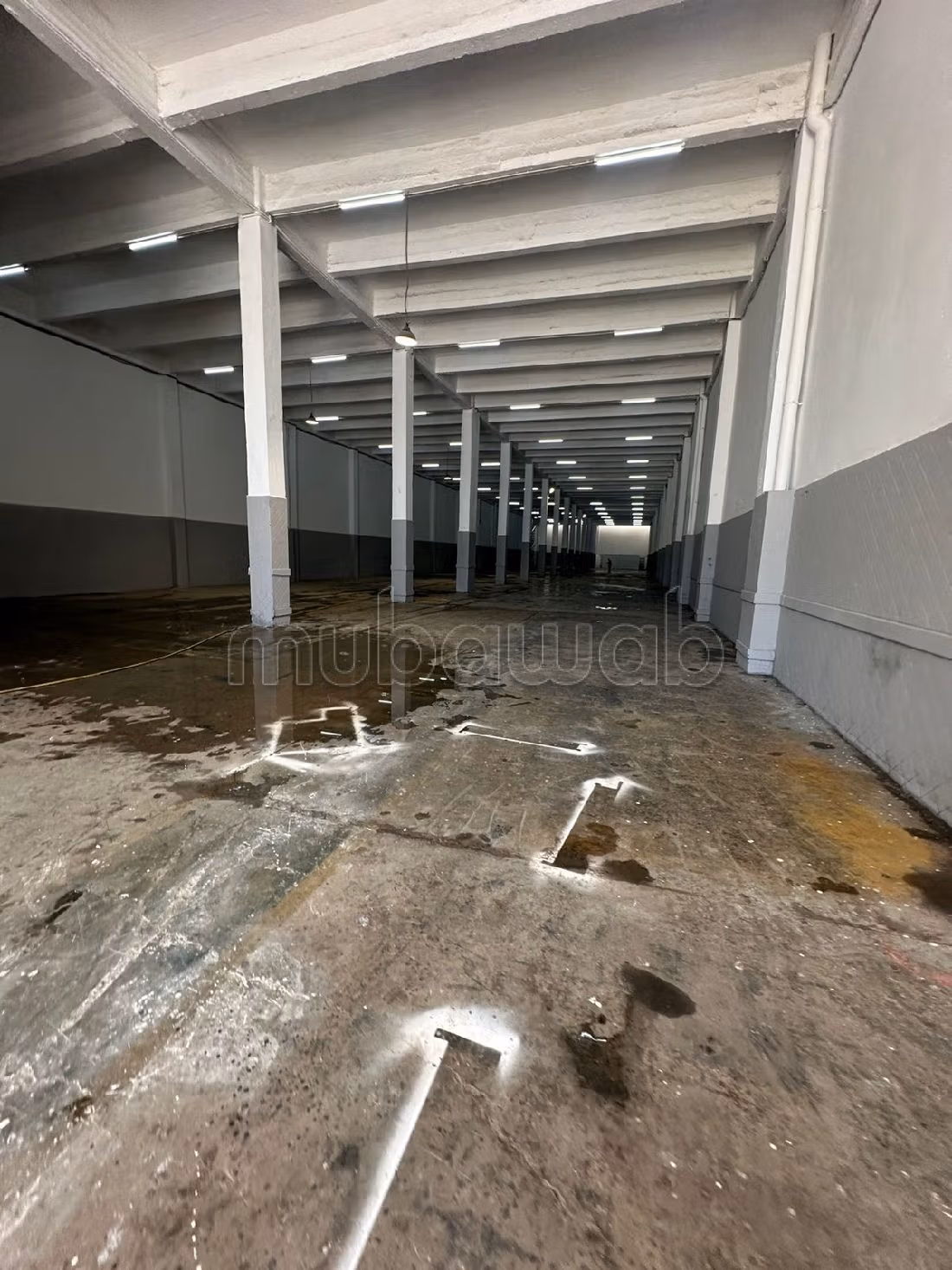 Offices & shops to rent in Aïn Sebaâ. Area of 2500 m². Caretaker service