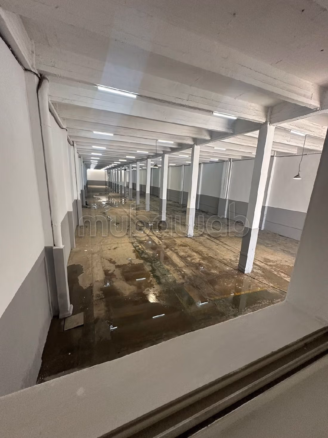 Offices & shops to rent in Aïn Sebaâ. Area of 2500 m². Caretaker service