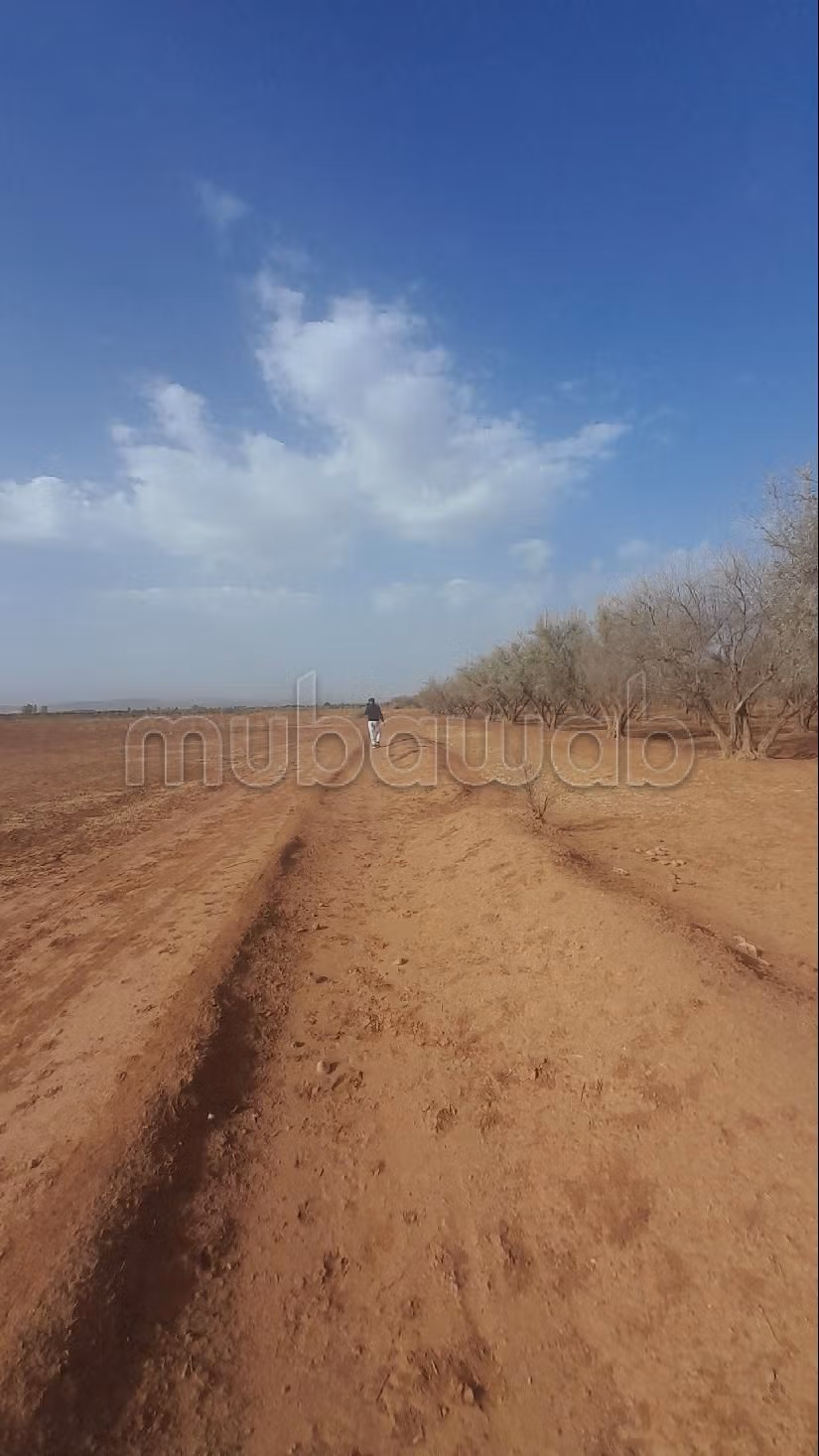 Encuentra la granja de tus sueños. Superficie de 60000 m².