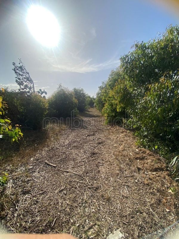 Farms for sale Tunisia, Farm Sale Mubawab