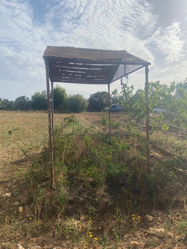 Farms for sale Tunisia, Farm Sale Mubawab