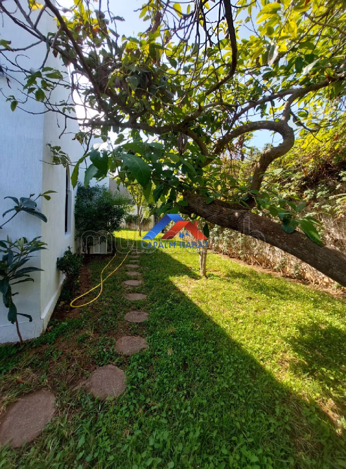 Offices for rent in Riyad. Total area 644 m². Garden and terrace