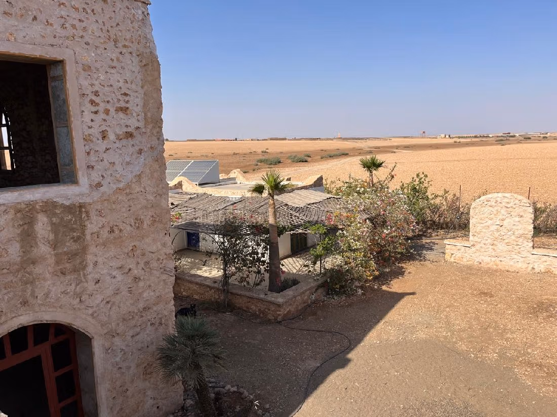 Nice farm for sale. Area 25000 m². 