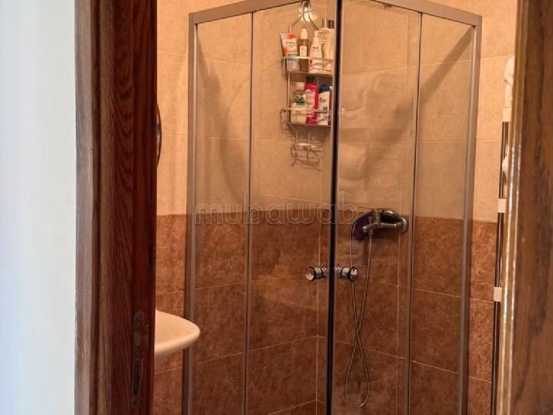 Appartement avec terrasse neuf a louer centre ville surface 112 m² reference: / ltam9939