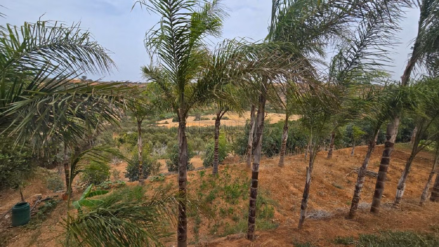 فيلا فخمة للايجار ب شاطئ واد الشراط. 10 قطع رائعة. مفروشة. 